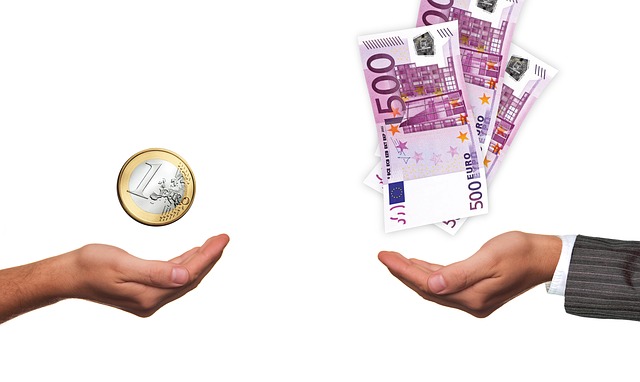 euro